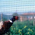 Rete per voliera Fagiani e Starne
