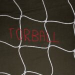Rete per porte Torball